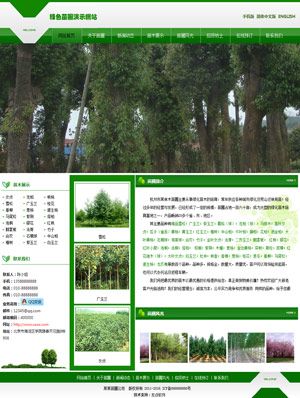 遼陽網(wǎng)站建設(shè)