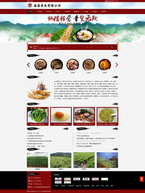 遼陽網(wǎng)站建設(shè)