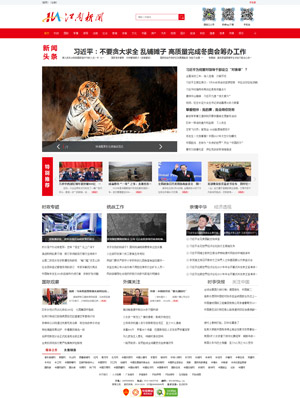 遼陽(yáng)網(wǎng)站建設(shè)